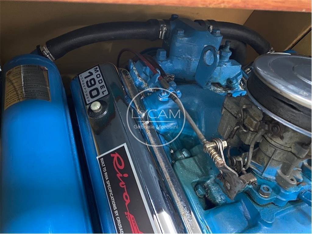 Riva Junior