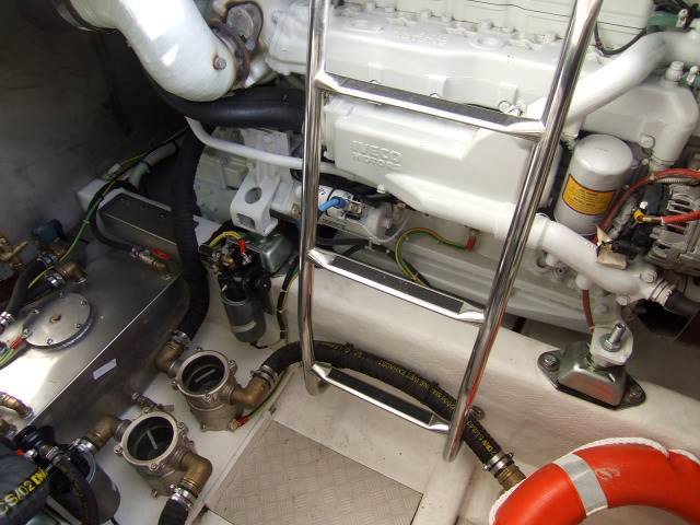 Cantiere estensi Goldstar 440 s