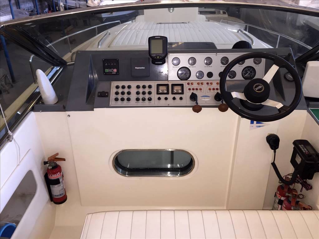 Conam Lupo di mare 36