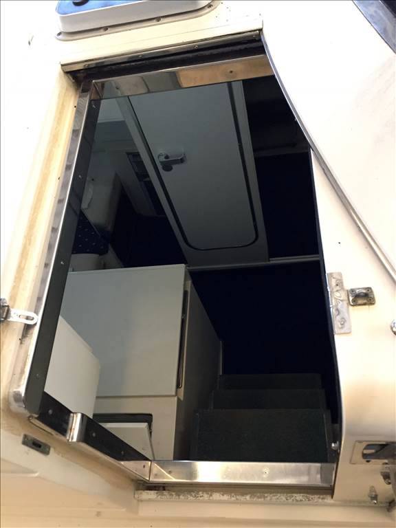 Conam Lupo di mare 36