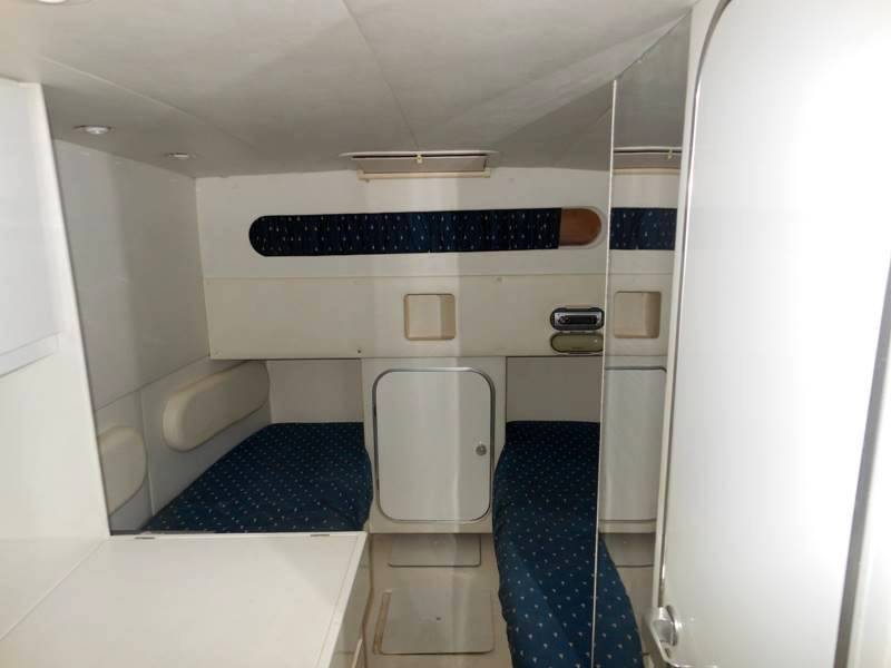 Conam Lupo di mare 36