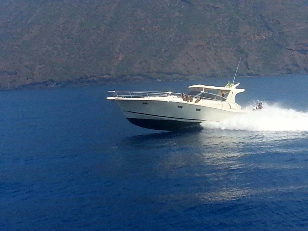 Gagliotta 44