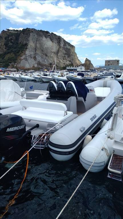 Doviboat F100